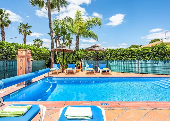 Norcas Grande * Galé